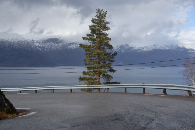 hardangerfjord-road-5