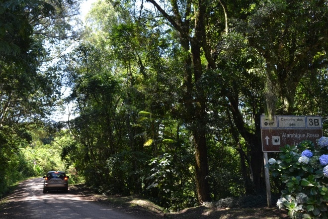 estrada-quilombo-chapadao-3